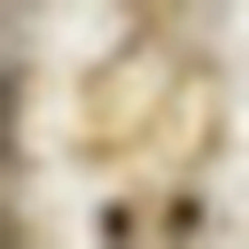 6' Ivory Jute Handmade Square Rug Photo 2