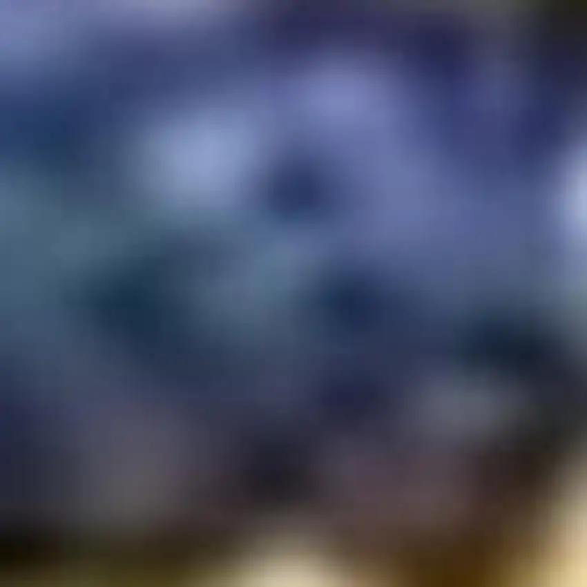 8' Ivory Red And Orange Wool Floral Hand Tufted Runner Rug Photo 3