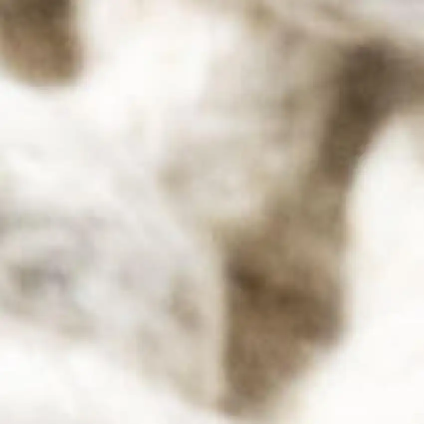 10' Ivory Runner Rug Photo 3