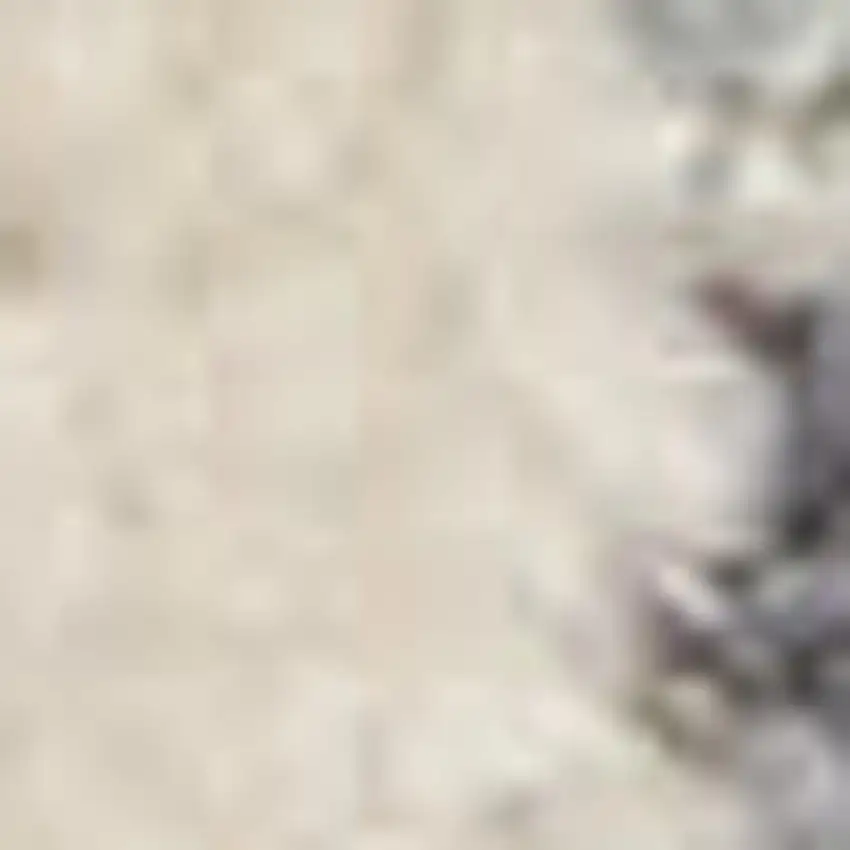 12' Ivory Tan And Light Blue Floral Medallion Distressed Runner Rug With Fringe Photo 2