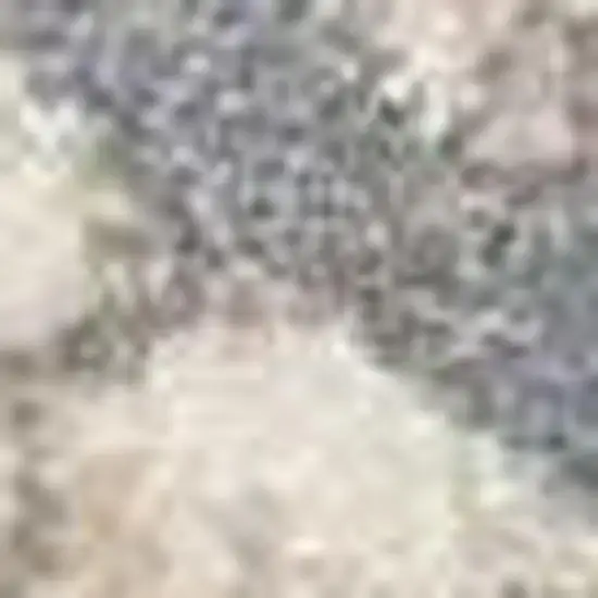 8' Ivory Tan and Gray Floral Distressed Non Skid Runner Rug Photo 3