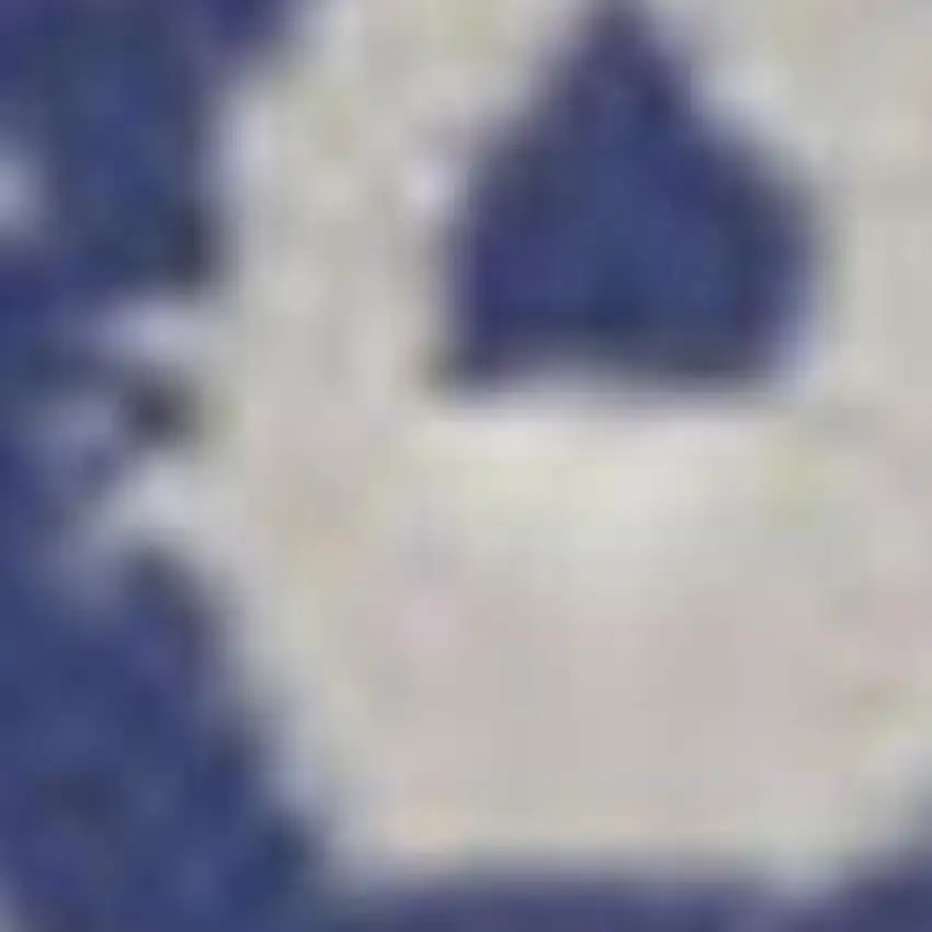 5' Ivory and Blue Floral Medallion Round Rug Photo 4