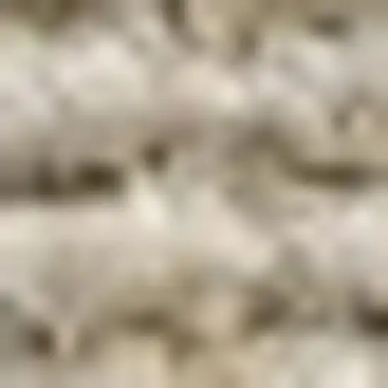 5' Jute Handmade Square Rug Photo 3