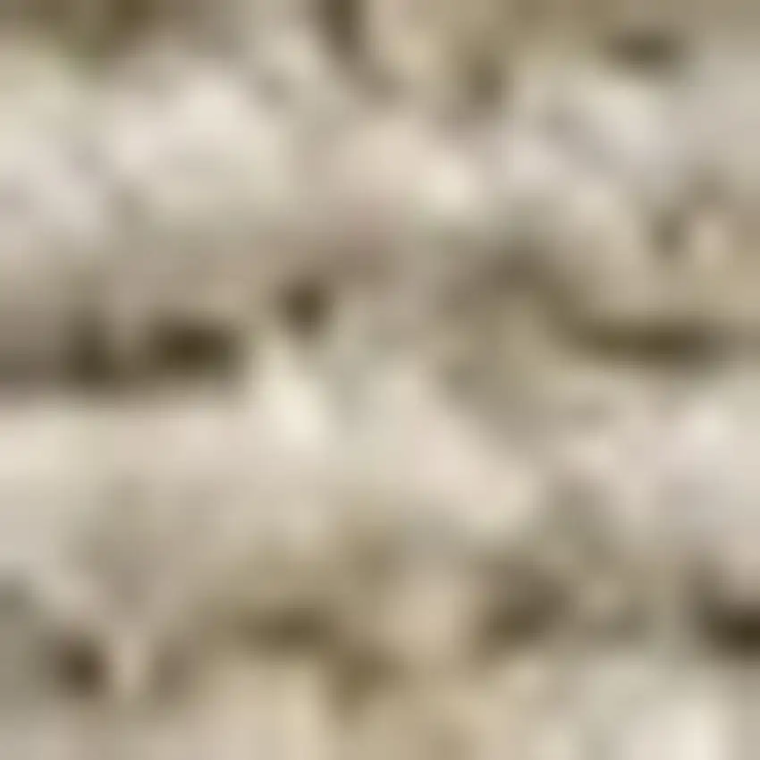 5' Jute Handmade Square Rug Photo 3