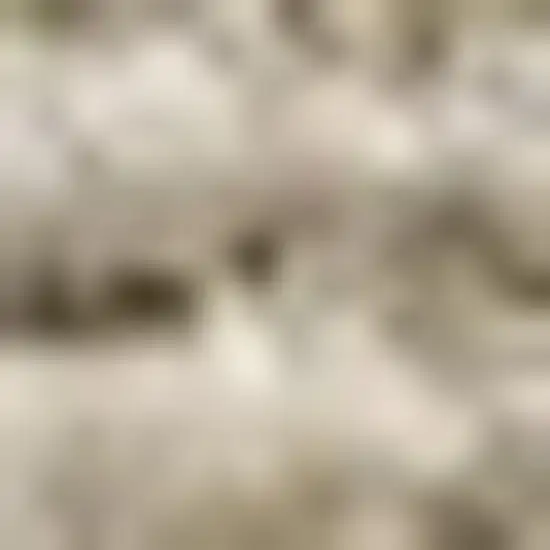 7' Jute Handmade Square Rug Photo 2