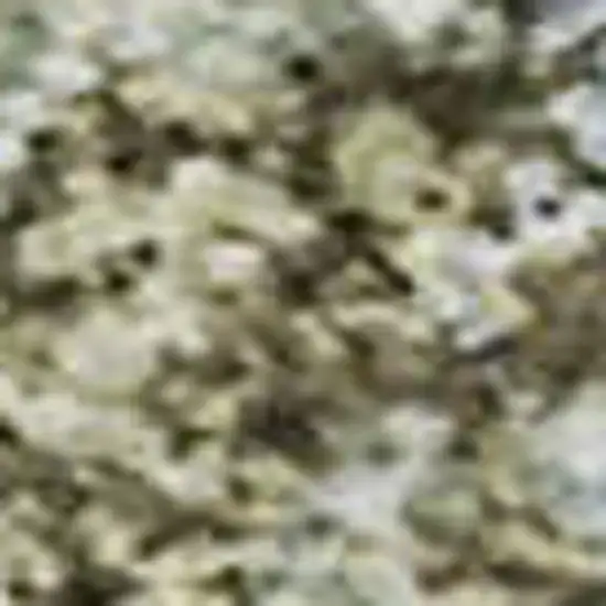 8' Khaki And Silver Abstract Washable Area Rug With UV Protection Photo 2