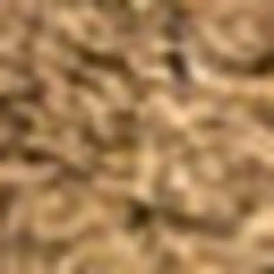 8' Light Brown Indoor Outdoor Runner Rug Photo 2