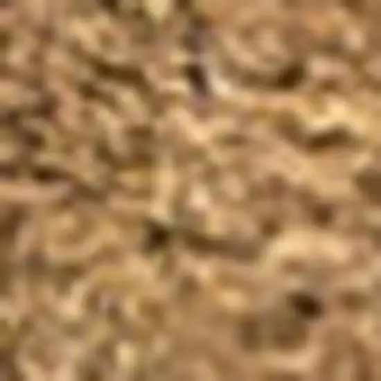 8' Light Brown Indoor Outdoor Runner Rug Photo 3