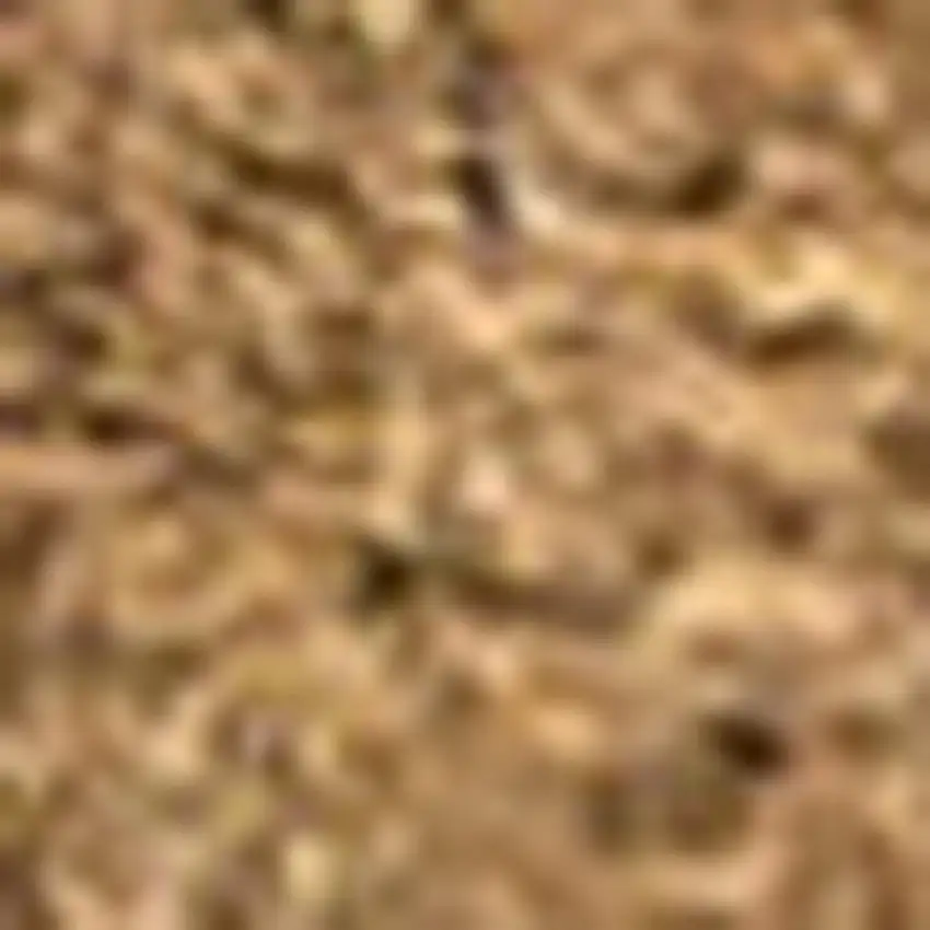 8' Light Brown Indoor Outdoor Runner Rug Photo 3