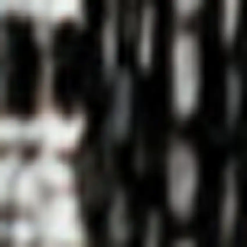 8' Light Gray And Black Geometric Indoor Outdoor Runner Rug Photo 2