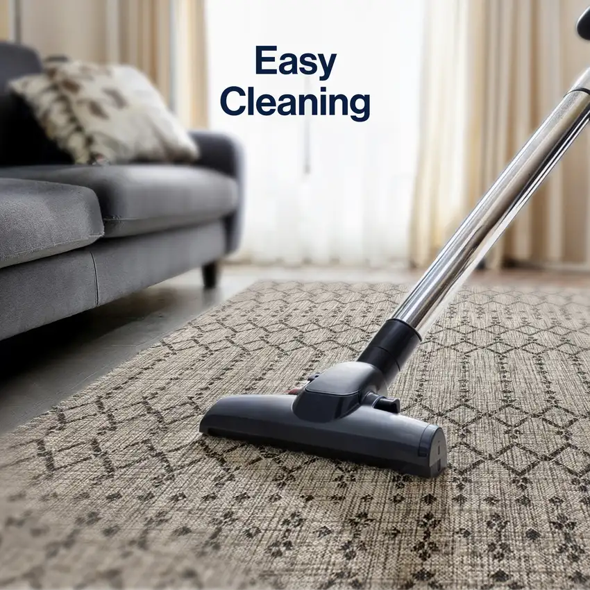 4' Light Gray And Black Square Trellis Indoor Outdoor Area Rug Photo 5