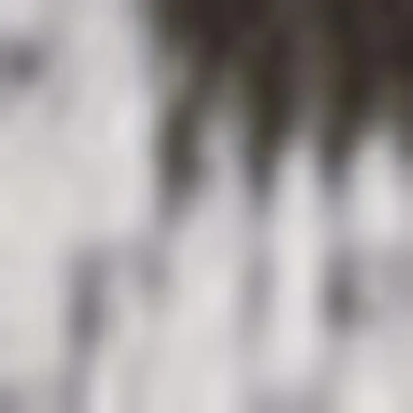 8' Light Gray And Black Striped Indoor Outdoor Runner Rug Photo 2