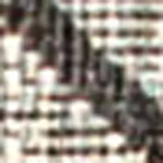 20' Light Gray And Black Trellis Indoor Outdoor Runner Rug Photo 2