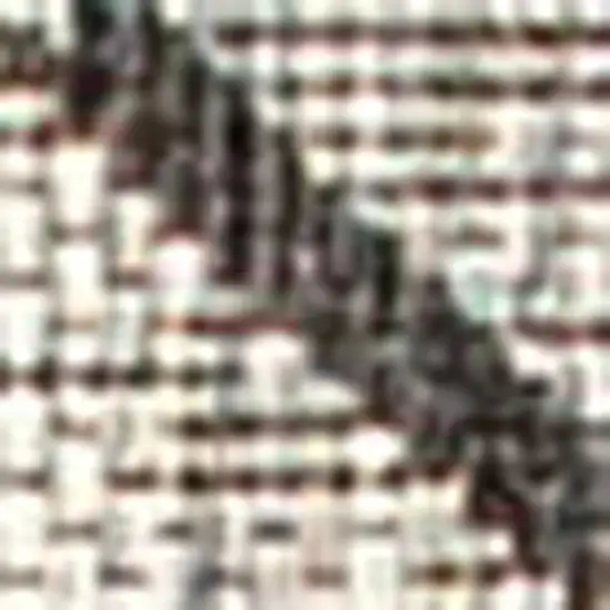 8' Light Gray And Black Trellis Indoor Outdoor Runner Rug Photo 2