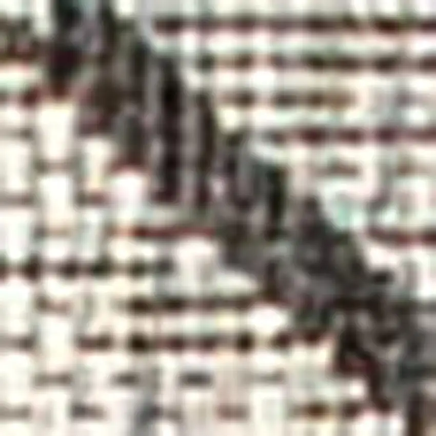 8' Light Gray And Black Trellis Indoor Outdoor Runner Rug Photo 2