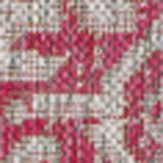 5' Light Gray And Fuchsia Square Medallion Indoor Outdoor Area Rug Photo 2