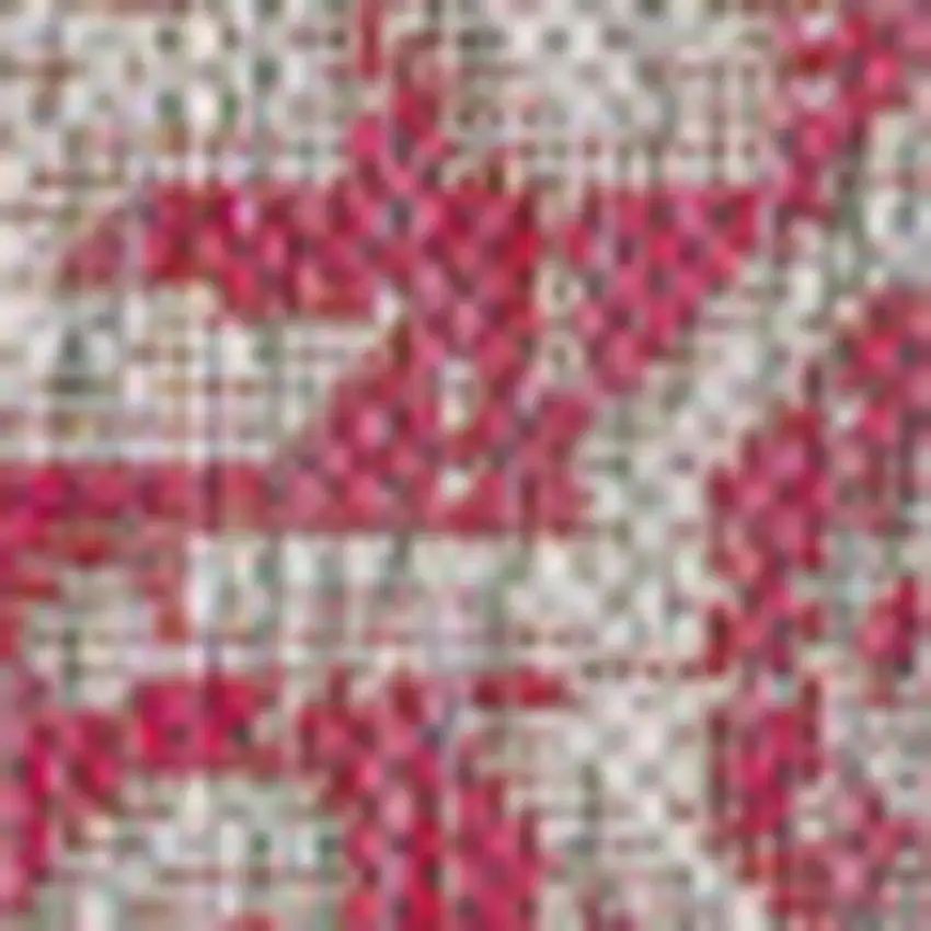 5' Light Gray And Fuchsia Square Medallion Indoor Outdoor Area Rug Photo 2