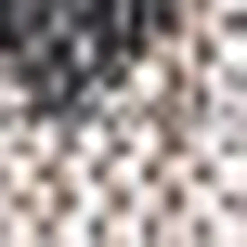 3' Natural And Black Square Trellis Indoor Outdoor Area Rug Photo 2