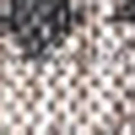 3' Natural And Black Square Trellis Indoor Outdoor Area Rug Photo 3