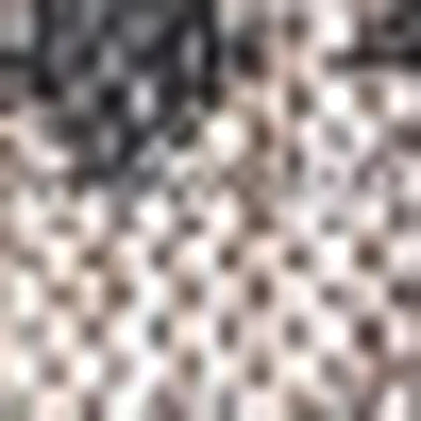 4' Natural And Black Square Trellis Indoor Outdoor Area Rug Photo 3