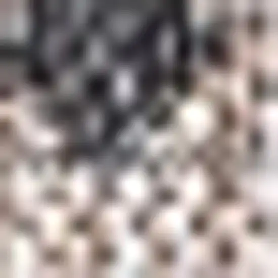 4' Natural And Black Square Trellis Indoor Outdoor Area Rug Photo 2