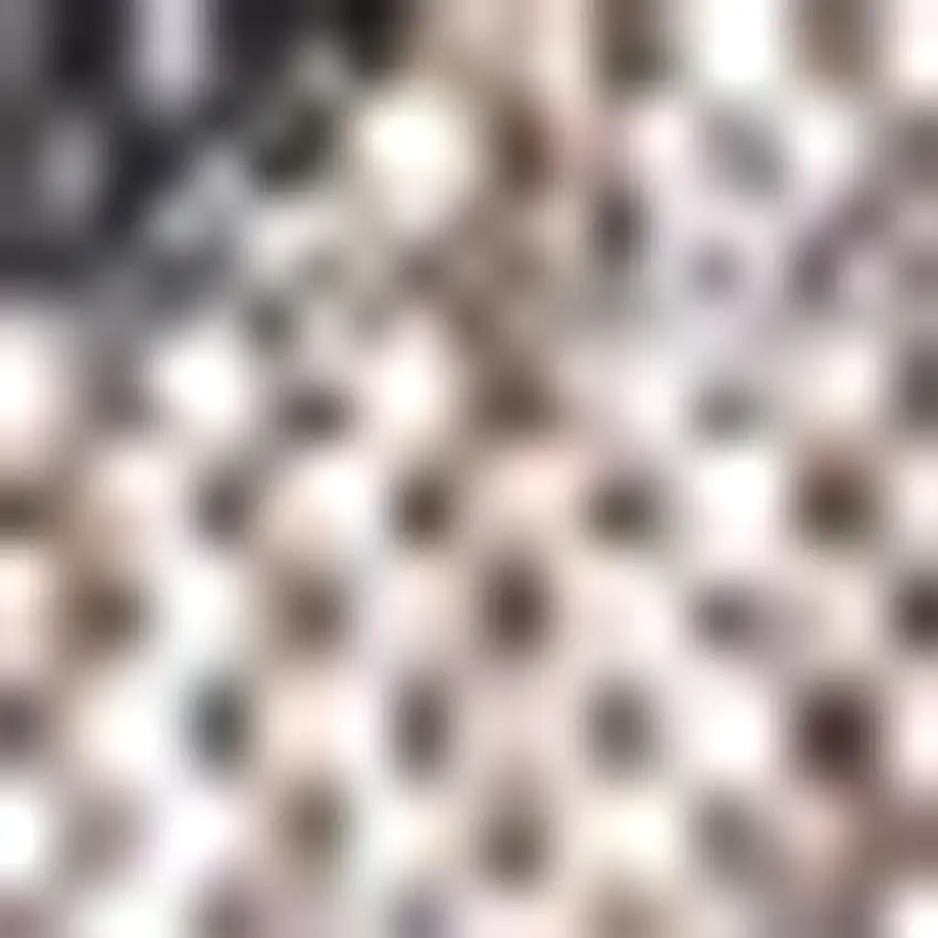 8' Natural And Black Square Trellis Indoor Outdoor Area Rug Photo 2