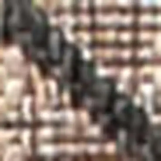 20' Natural And Black Trellis Indoor Outdoor Runner Rug Photo 2