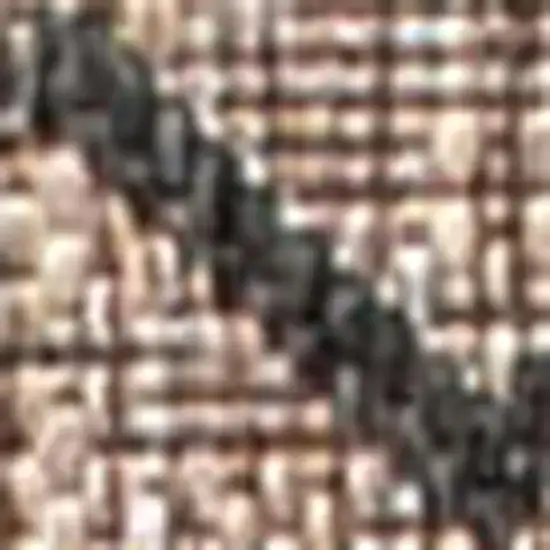 8' Natural And Black Trellis Indoor Outdoor Runner Rug Photo 3