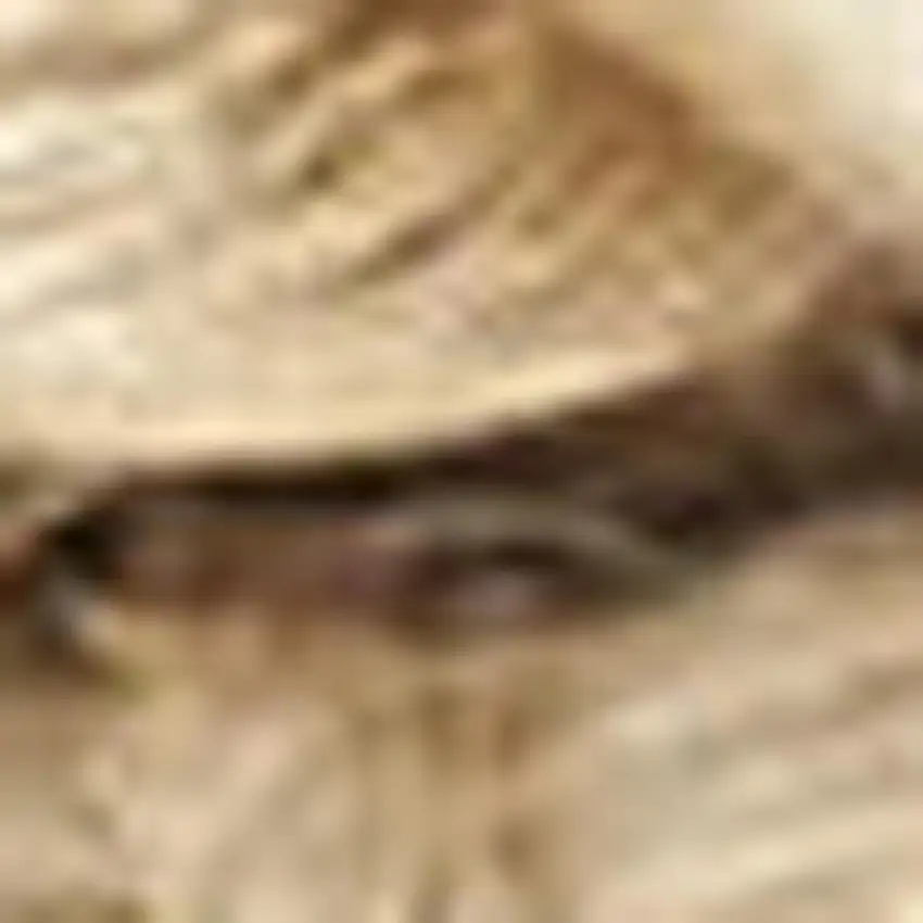 12' Natural Jute Flatweave Handmade Runner Rug Photo 3