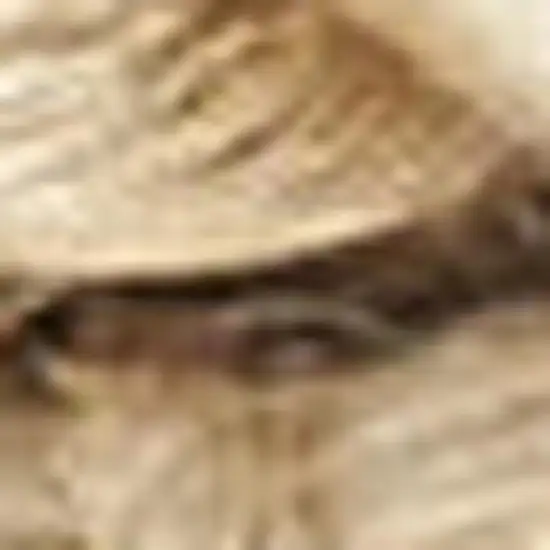 12' Natural Jute Flatweave Handmade Runner Rug Photo 3