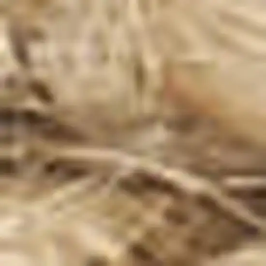 4' Natural Jute Flatweave Handmade Square Rug Photo 7