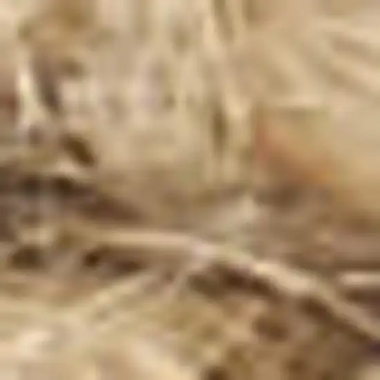 5' Natural Jute Flatweave Handmade Square Rug Photo 7