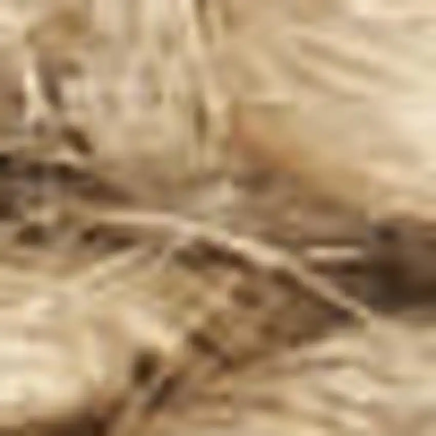 8' Natural Jute Flatweave Handmade Square Rug Photo 7