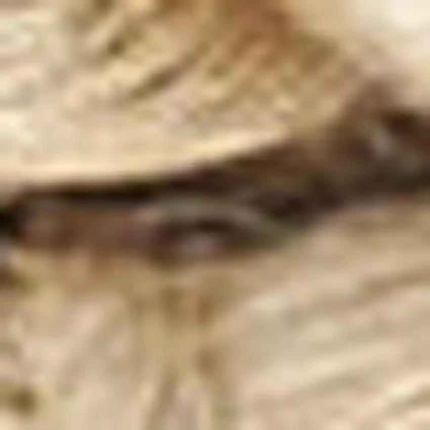 8' Natural Jute Flatweave Handmade Square Rug Photo 3