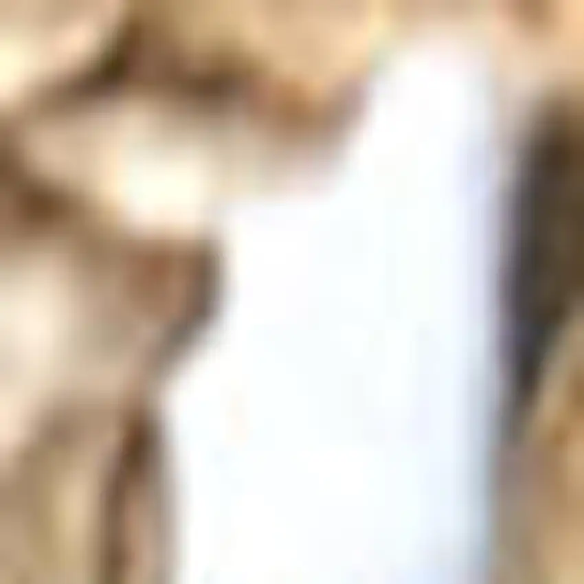 20' Natural Jute Handmade Runner Rug With Fringe Photo 3