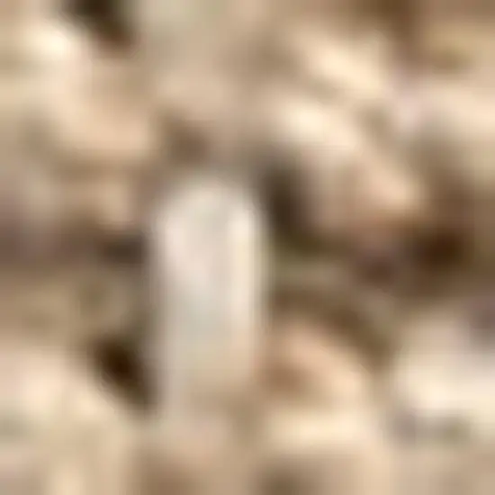 5' Natural Jute Handmade Square Rug Photo 2