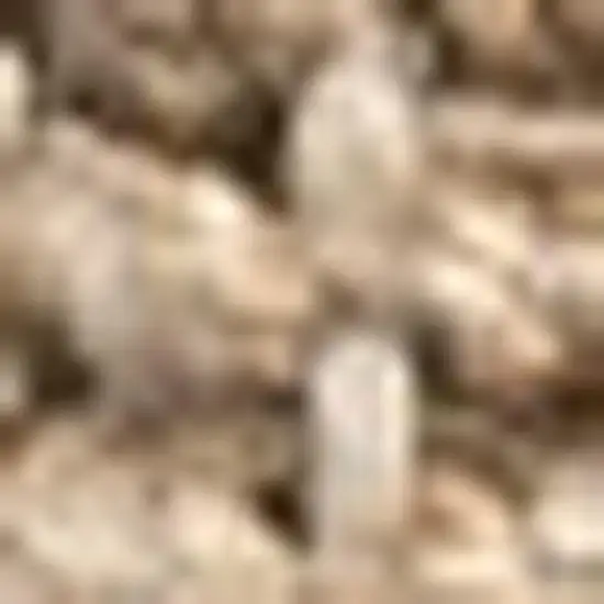 5' Natural Jute Handmade Square Rug Photo 3