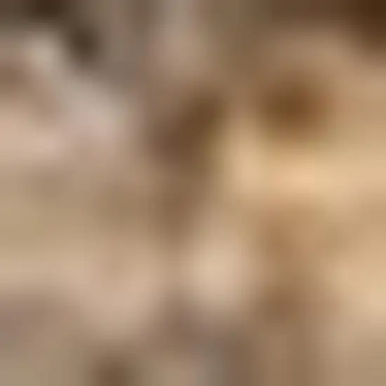 6' Natural Jute Handmade Square Rug Photo 2