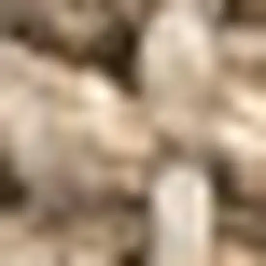 7' Natural Jute Handmade Square Rug Photo 2