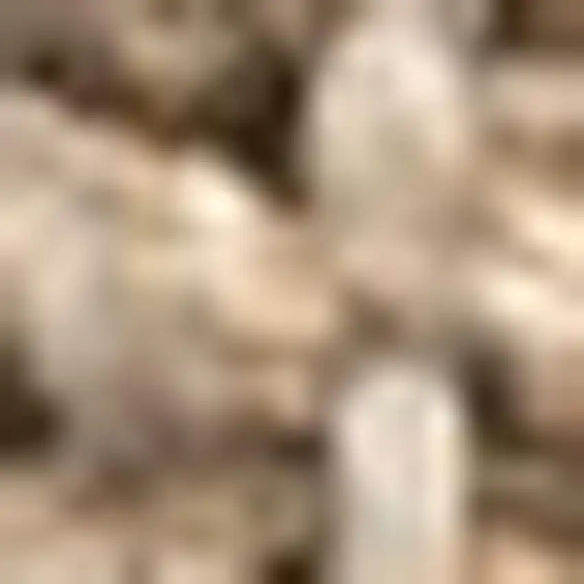 7' Natural Jute Handmade Square Rug Photo 2