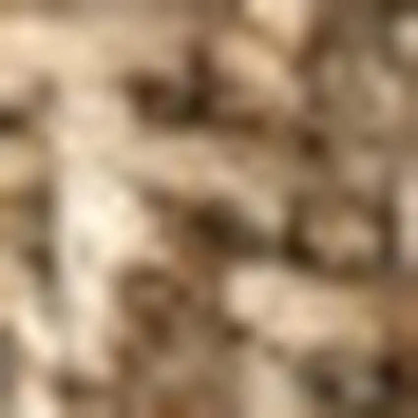 5' Natural Jute Handmade Square Rug Photo 2