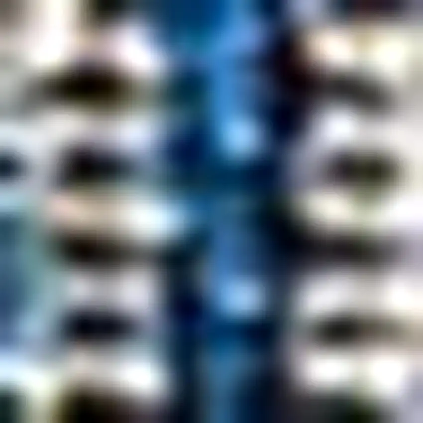 10' Navy Blue And Gray Medallion Indoor Outdoor Runner Rug Photo 3