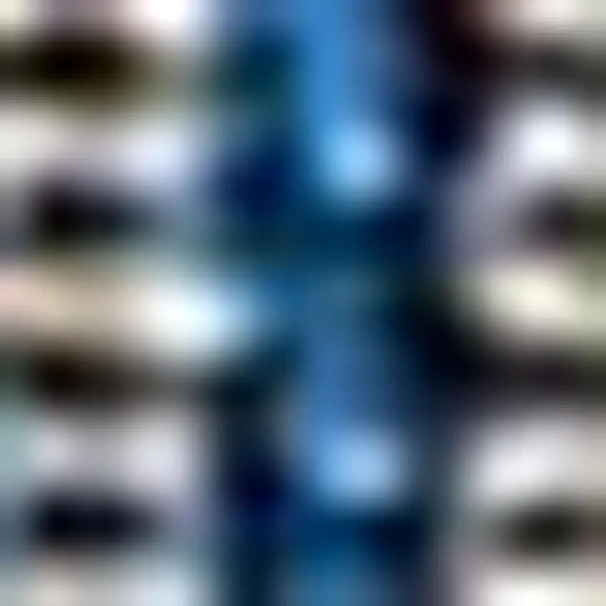 10' Navy Blue And Gray Medallion Indoor Outdoor Runner Rug Photo 2