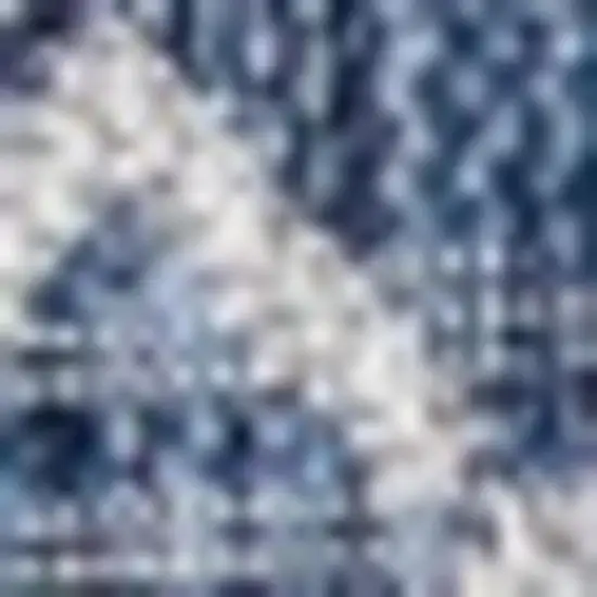 3' Navy Blue And Light Gray Square Trellis Indoor Outdoor Area Rug Photo 2