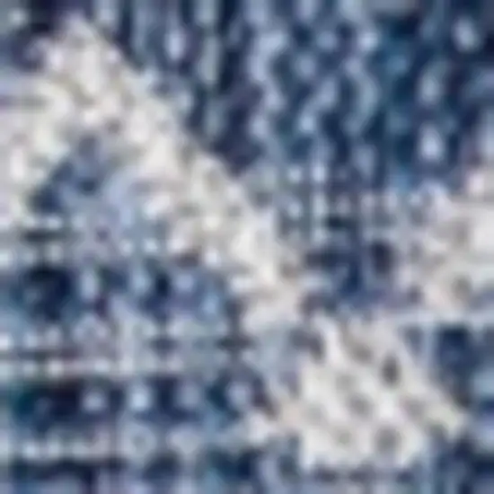 3' Navy Blue And Light Gray Square Trellis Indoor Outdoor Area Rug Photo 3