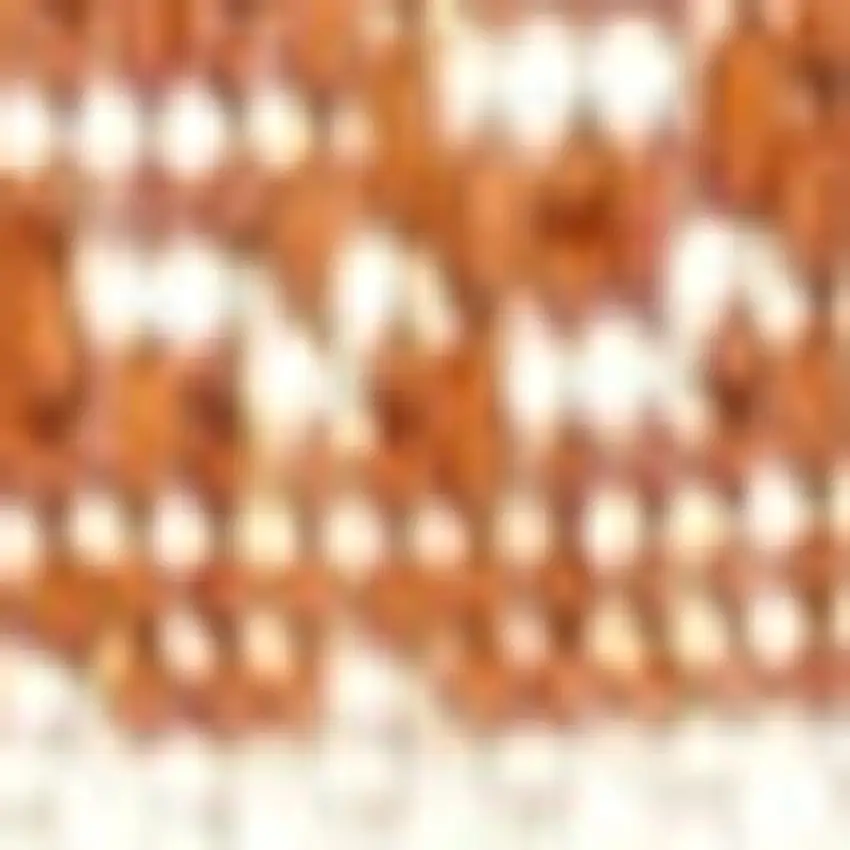 10' Orange And Cream Medallion Indoor Outdoor Runner Rug Photo 2