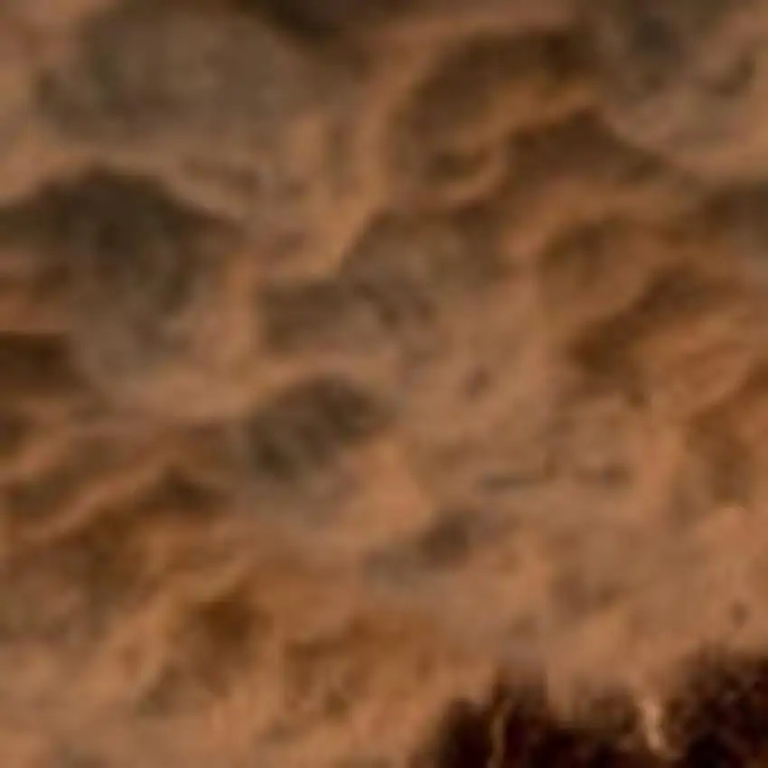 8' Orange Runner Rug Photo 3