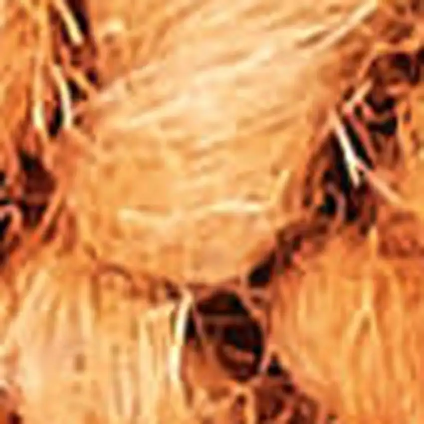 8' Orange Wool Runner Rug Photo 3