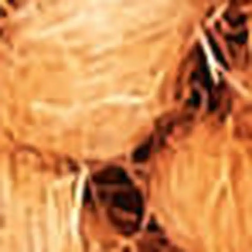 8' Orange Wool Runner Rug Photo 2