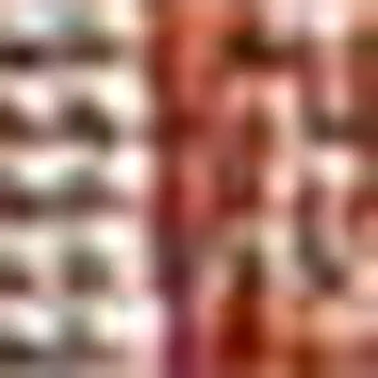 8' Red And Taupe Medallion Indoor Outdoor Runner Rug Photo 2